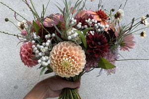 gallery 4-3 img 1571