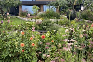 gallery 5-8 img 3673