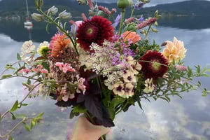 gallery 4-4 img 2199