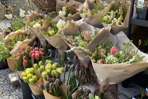 gallery 2-2 img 0242