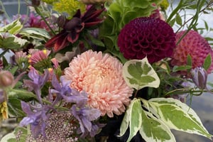 gallery 3-18 img 4867