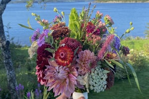 gallery 3-15 img 5503