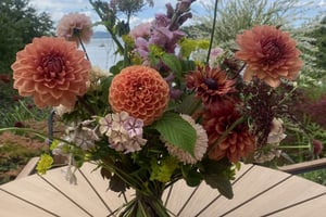 gallery 4-14 img 3922