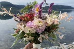 gallery 3-3 img 0641