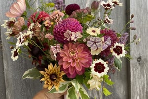 gallery 3-13 img 4887