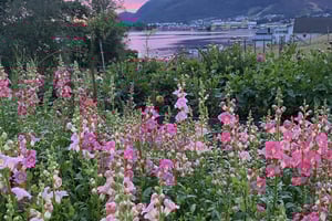 gallery 5-6 img 3283