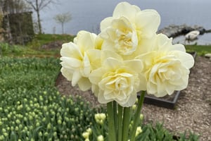 gallery 1-4 img 9949