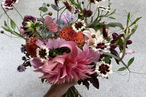 gallery 4-8 img 2622