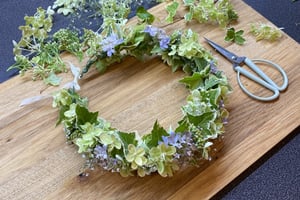 gallery 3-14 img 4967