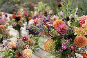 gallery 3-16 img 6631