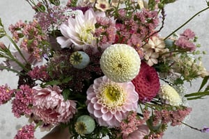 gallery 3-17 img 9428