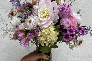 gallery 4-5 img 2355