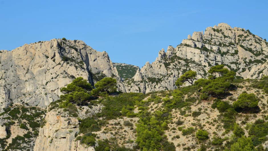 Breathtaking view of Marseille's Calanques showcasing rugged cliffs and lush greenery under a clear blue sky.