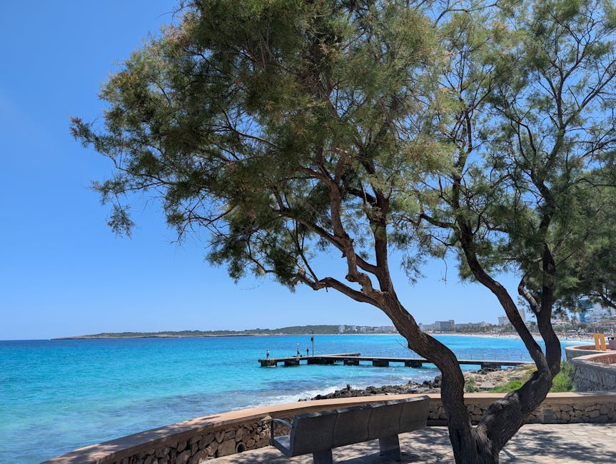 Serene beach view featuring a tree, a stone bench, and a distant pier over turquoise waters.