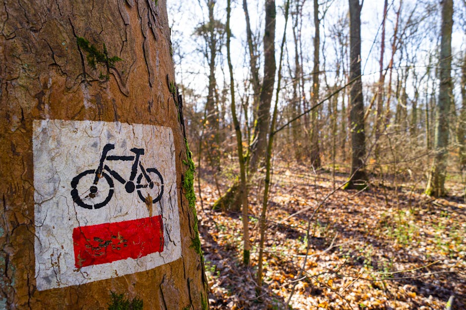 A forest bike trail sign on a tree in Puszczykowo, Poland during autumn.