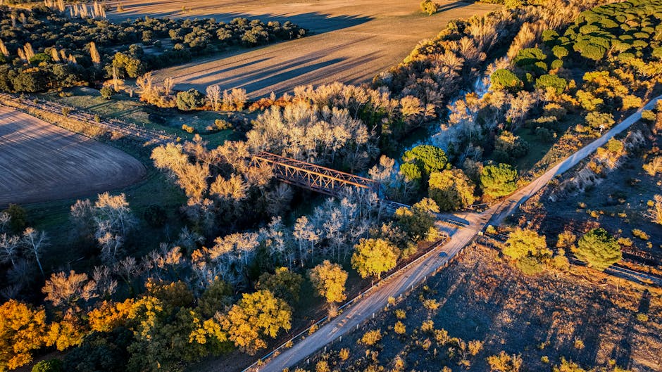 Captivating aerial view of a rustic bridge surrounded by autumn trees in Valladolid, Spain at sunset.