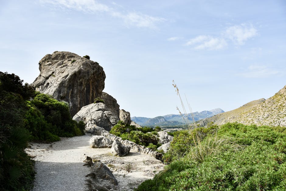 Explore a beautiful rocky landscape with lush greenery and clear skies.