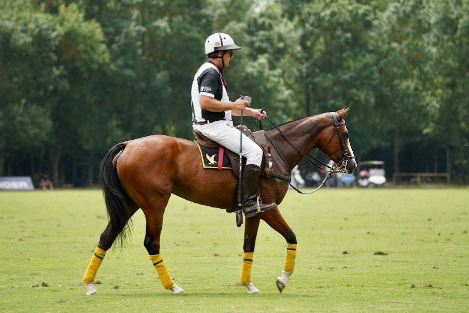 Polo player riding horse on green field in outdoor setting.