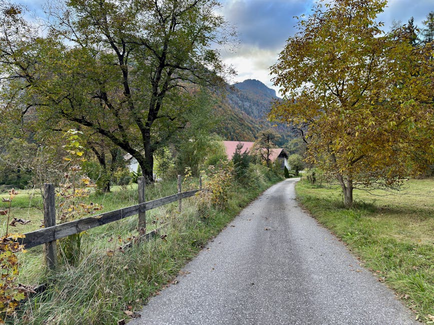 Explore a picturesque autumn rural road in Klaus an der Pyhrnbahn, Upper Austria.