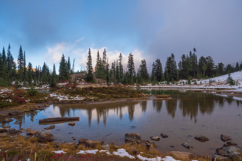 Serene lake with tall trees reflected, creating a picturesque landscape in Naches, WA.