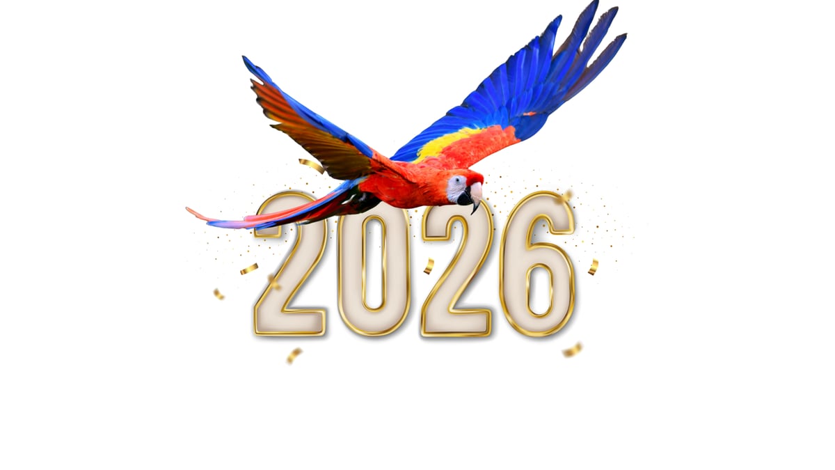 El 2026 seguiremos la lucha por Venezuela