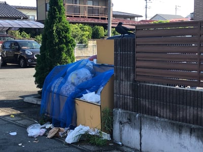 ユニゾンハウス付近ゴミ捨て場🐦‍⬛