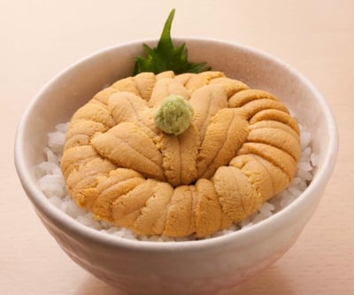 函館うに むらかみ 日本生命札幌ビル店