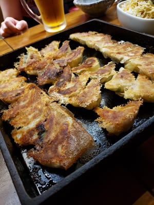 博多餃子 游心