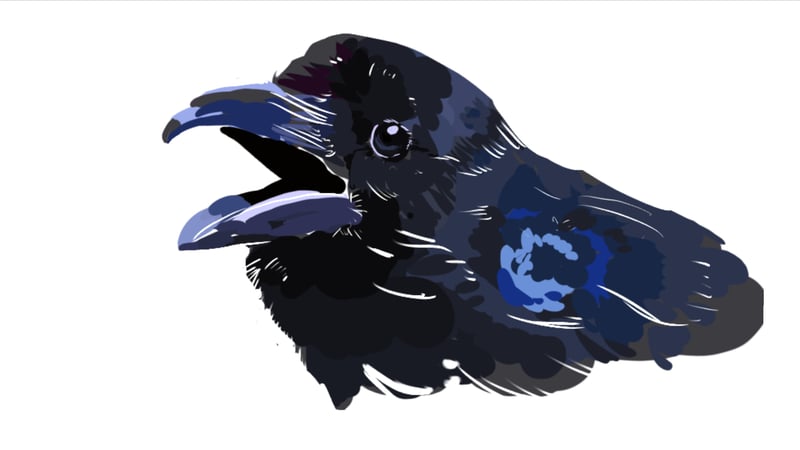 🐦‍⬛カラス🐦‍⬛【テスト版】