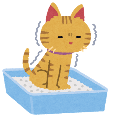 奈良猫ちゃん