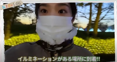 なばなの里