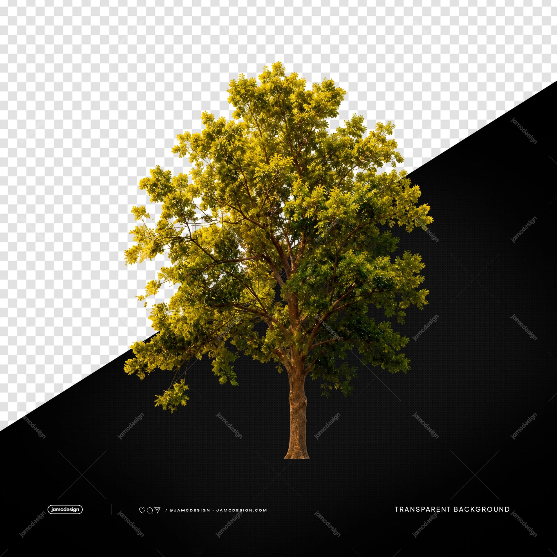 Árbol Verde Frondoso con Copa Completa y Follaje Dorado PNG Transparente. Objeto PNG transparente realista con un árbol frondoso completo