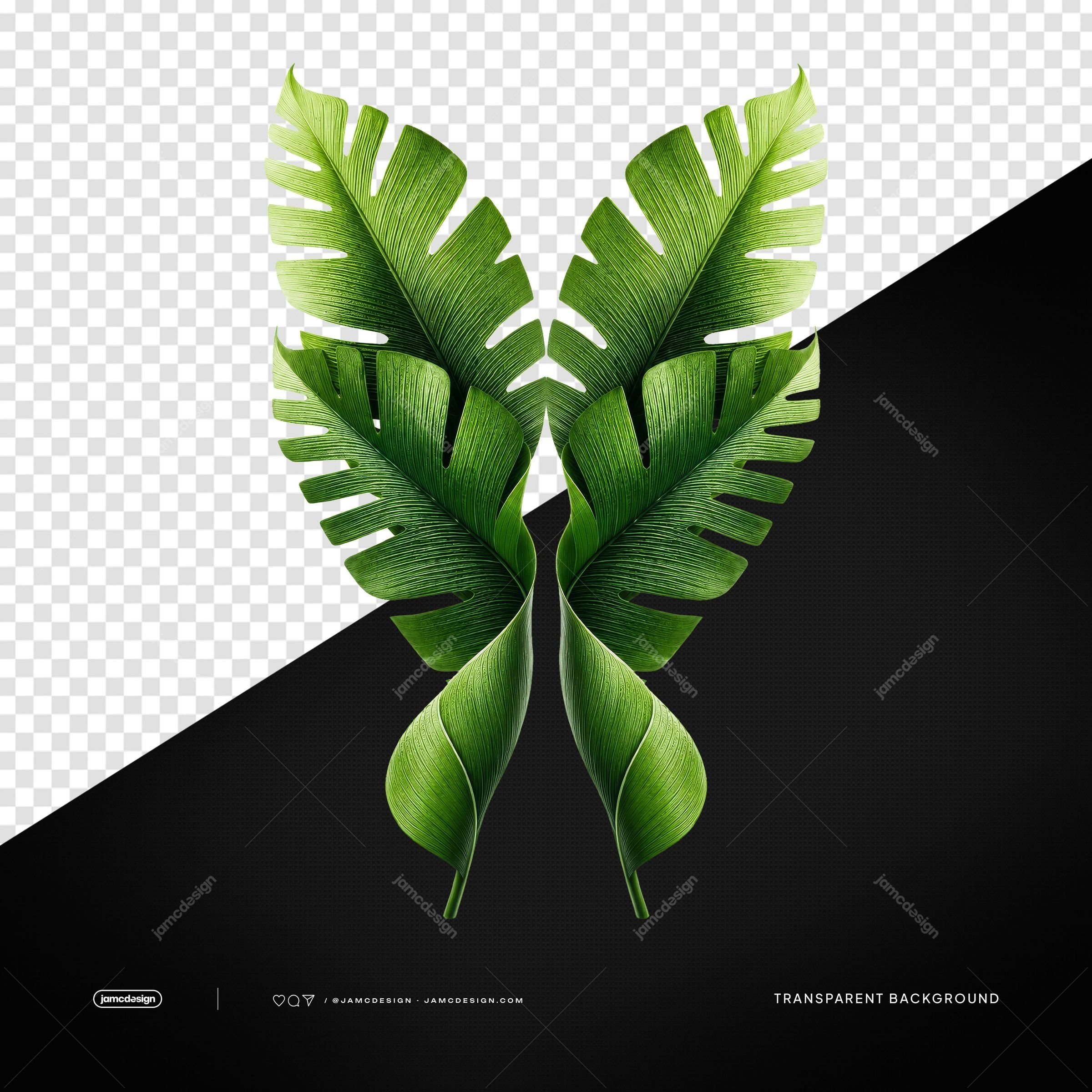 Tropical Palm Leaves PNG Transparent Background