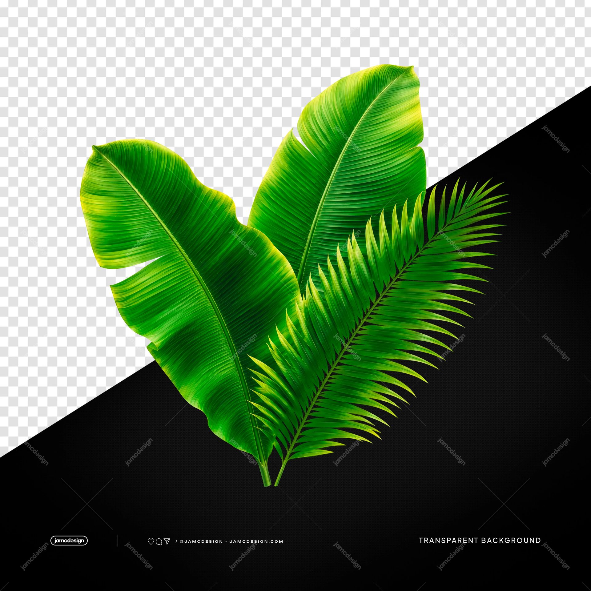 Tropical Banana And Palm Leaves Vivid Green Foliage Transparent PNG. This PNG transparent object features vivid green banana leaves and a layered palm frond