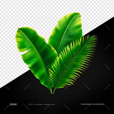 Tropical Banana And Palm Leaves Vivid Green Foliage Transparent PNG