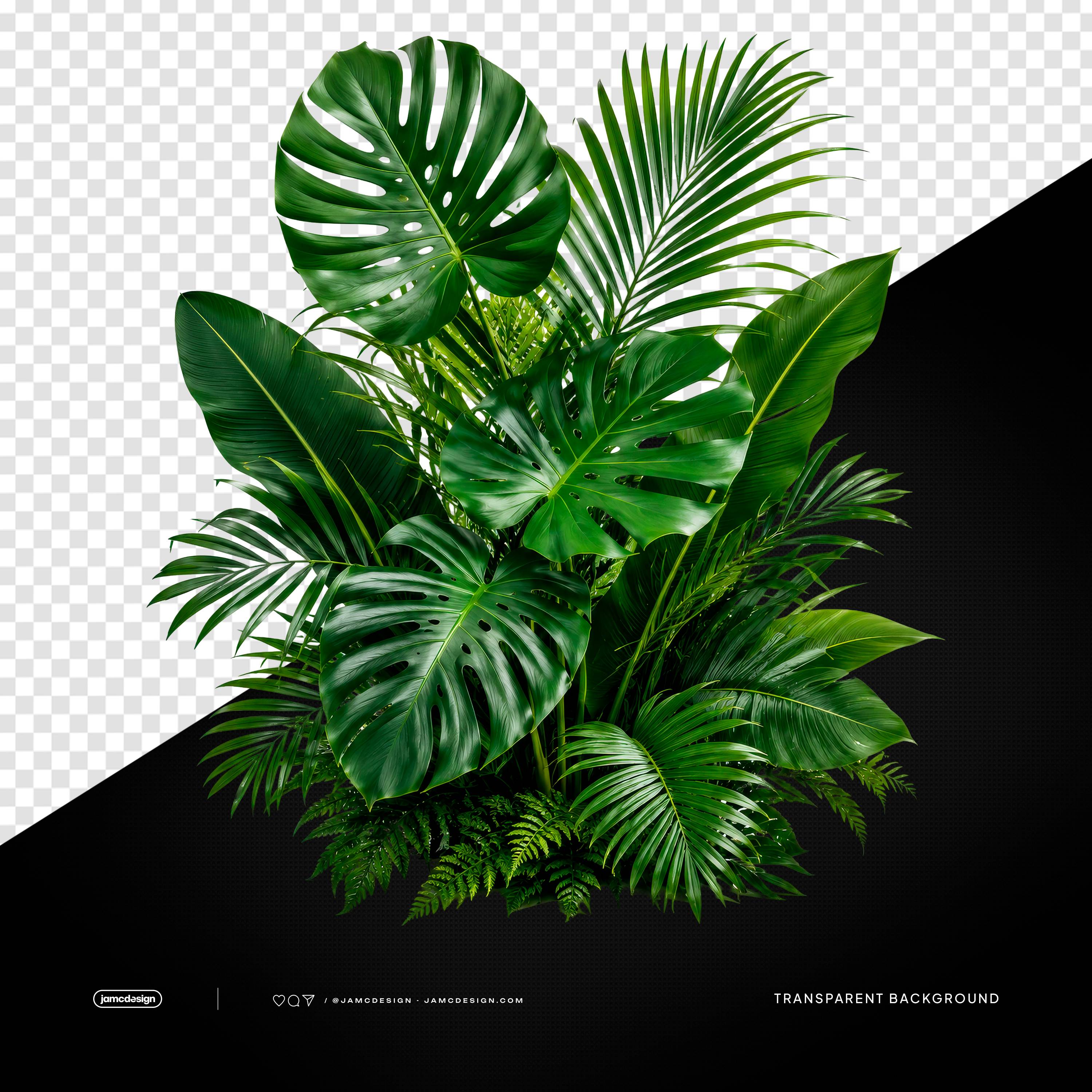 Tropical Jungle Plant Arrangement PNG Transparent Background