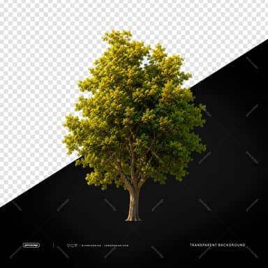 Dense Round Green Tree Golden Foliage PNG Transparent