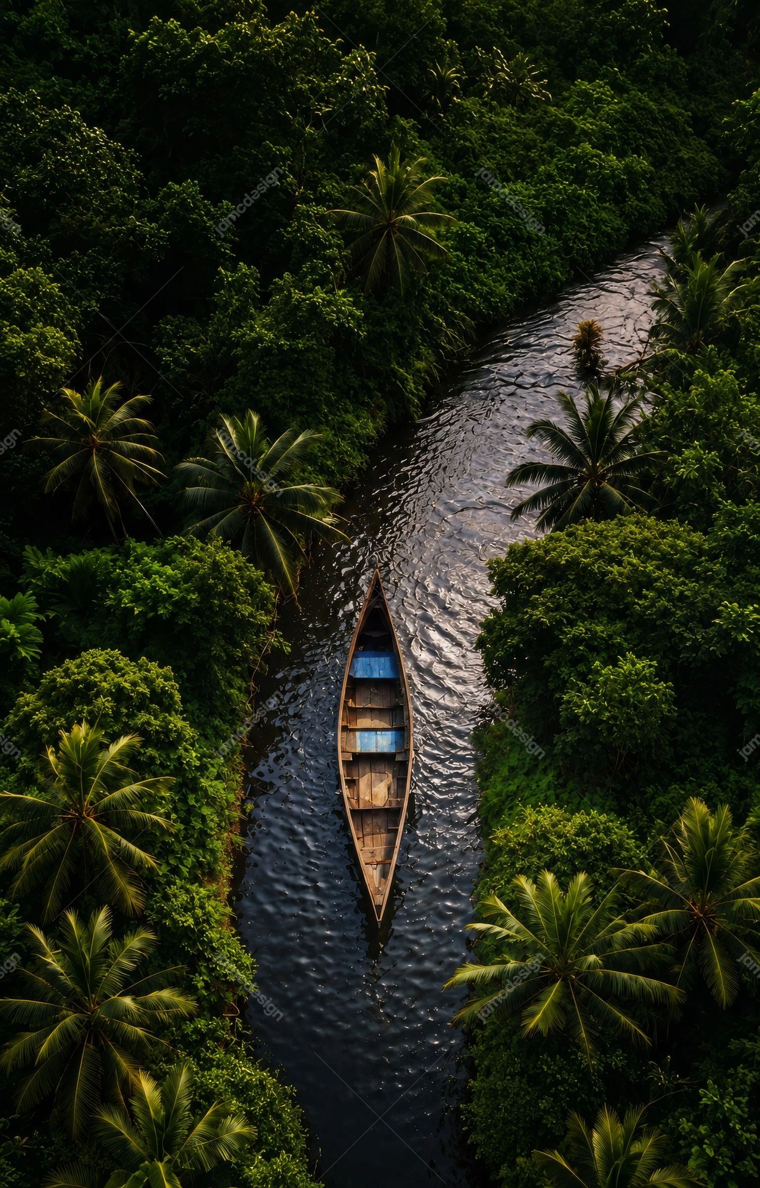 Cinematic Tropical River Canoe Background