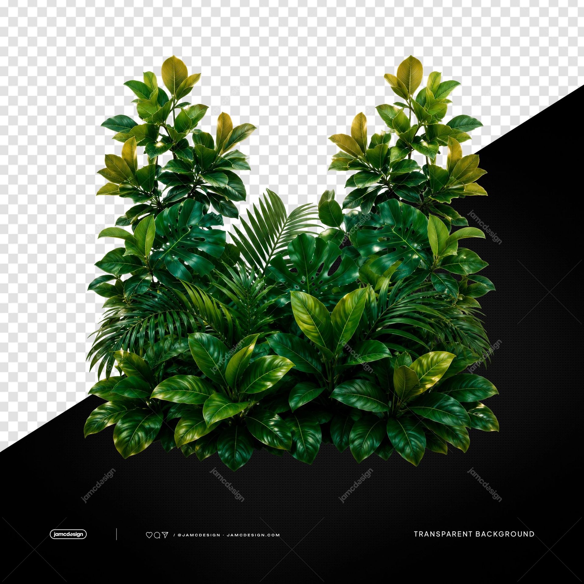 Arrangement de Feuillage Tropical Luxuriant PNG Fond Transparent. PNG d'arrangement de feuillage tropical luxuriant avec fond transparent