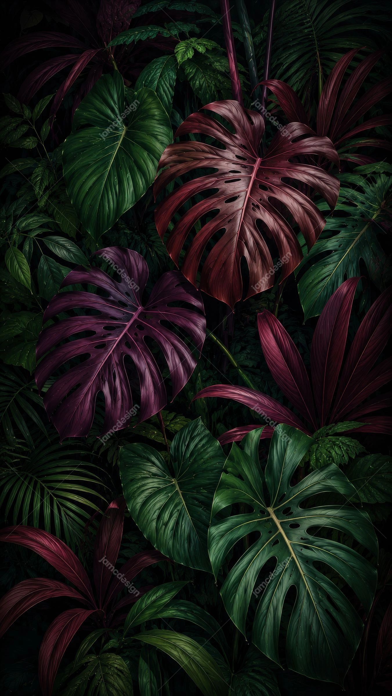 Dark Burgundy Monstera Leaves Jungle Background