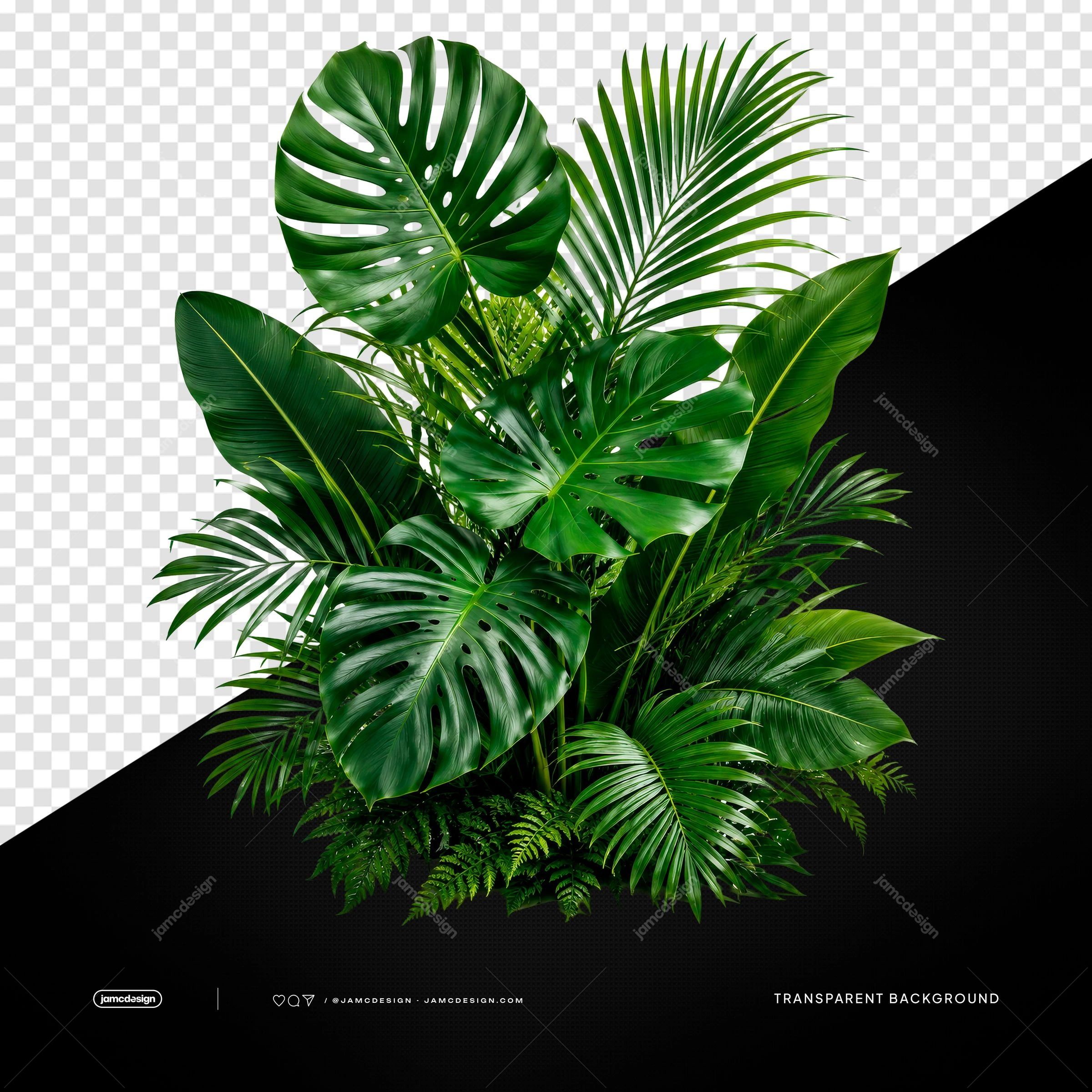 Tropical Jungle Plant Arrangement PNG Transparent Background