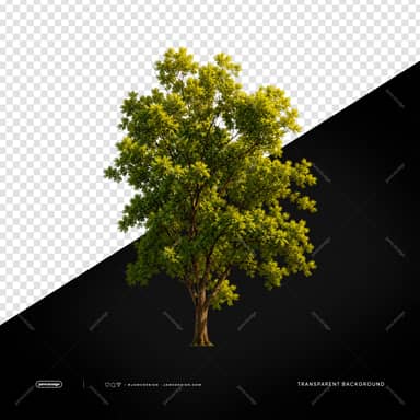 Spreading Green Tree With Natural Branches PNG Transparent