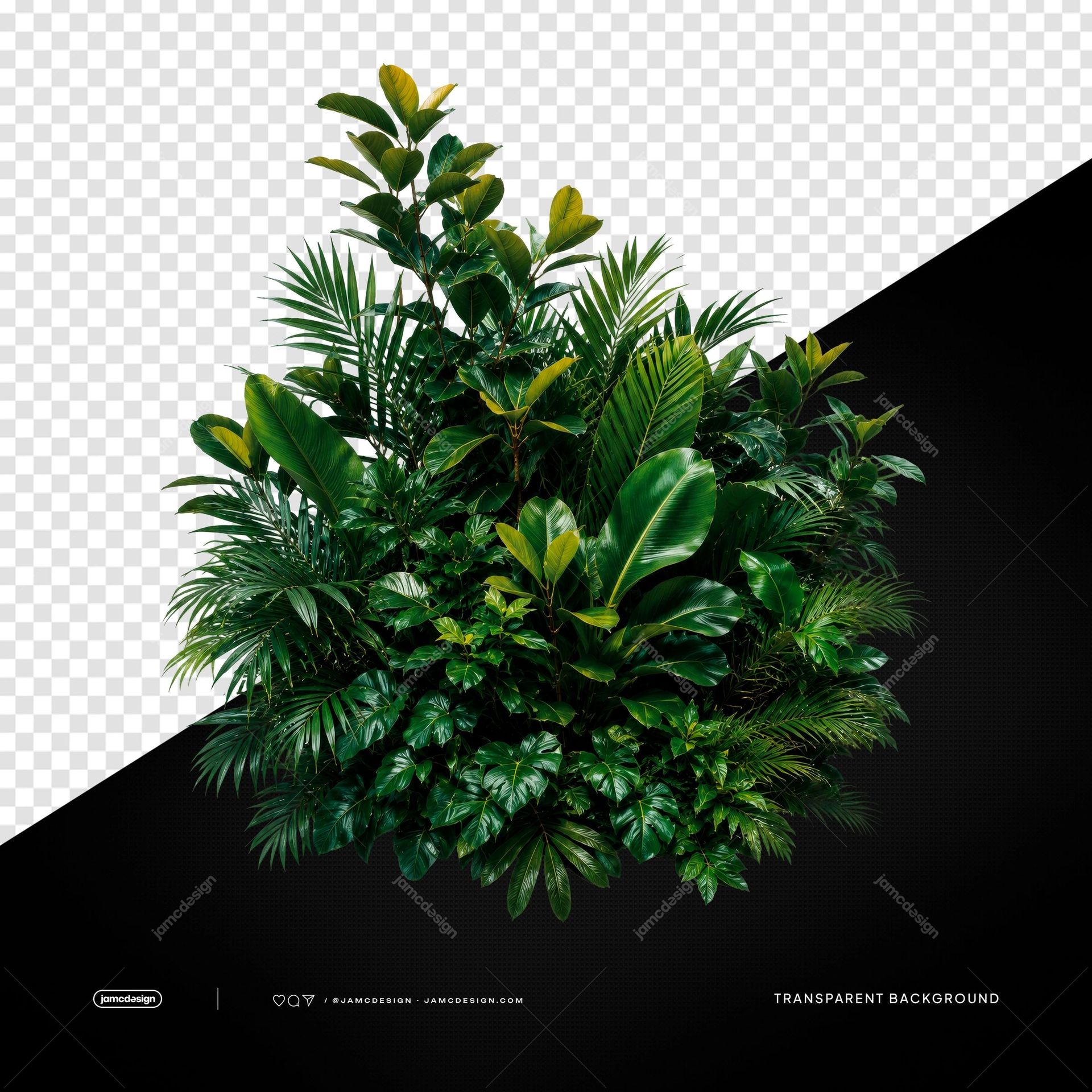 Dense Tropical Green Plant Bush PNG Transparent Background. Dense tropical plant bush supplied as a PNG with transparent background