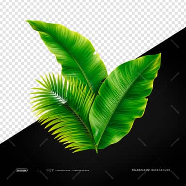 Lush Green Tropical Leaves Botanical Palm Frond Transparent Object PNG