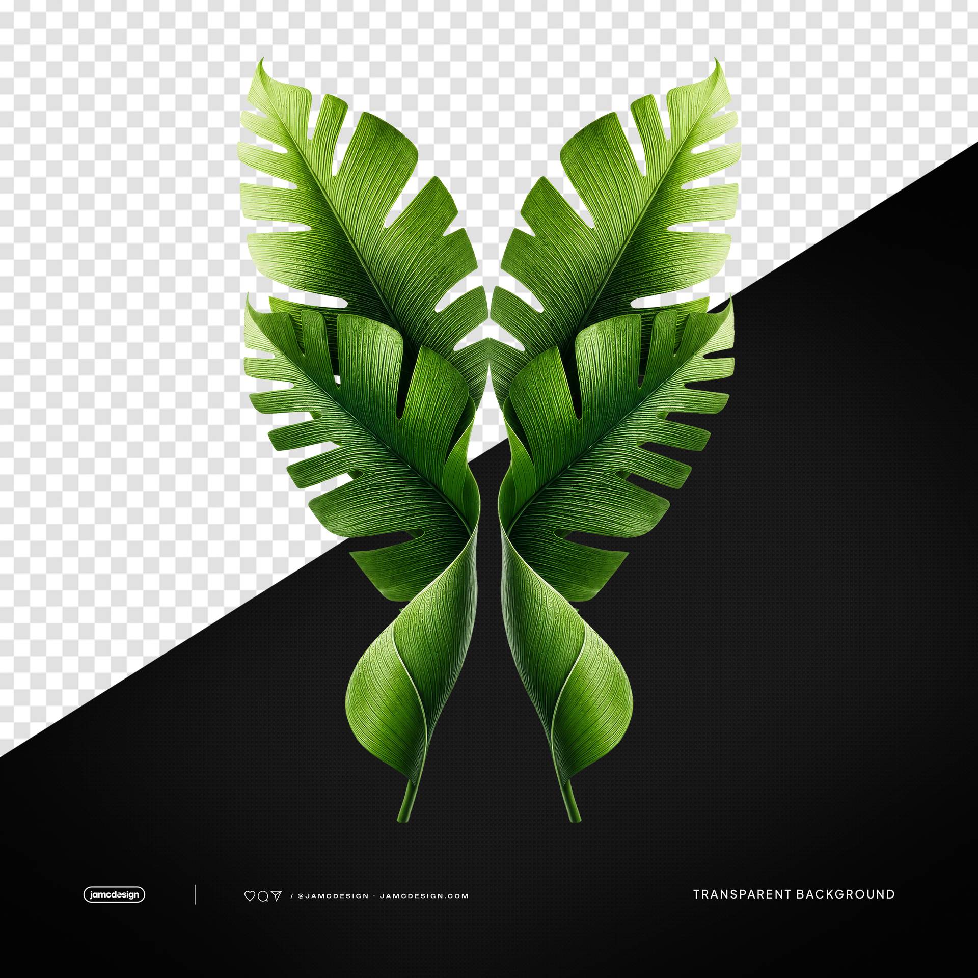 Tropical Palm Leaves PNG Transparent Background