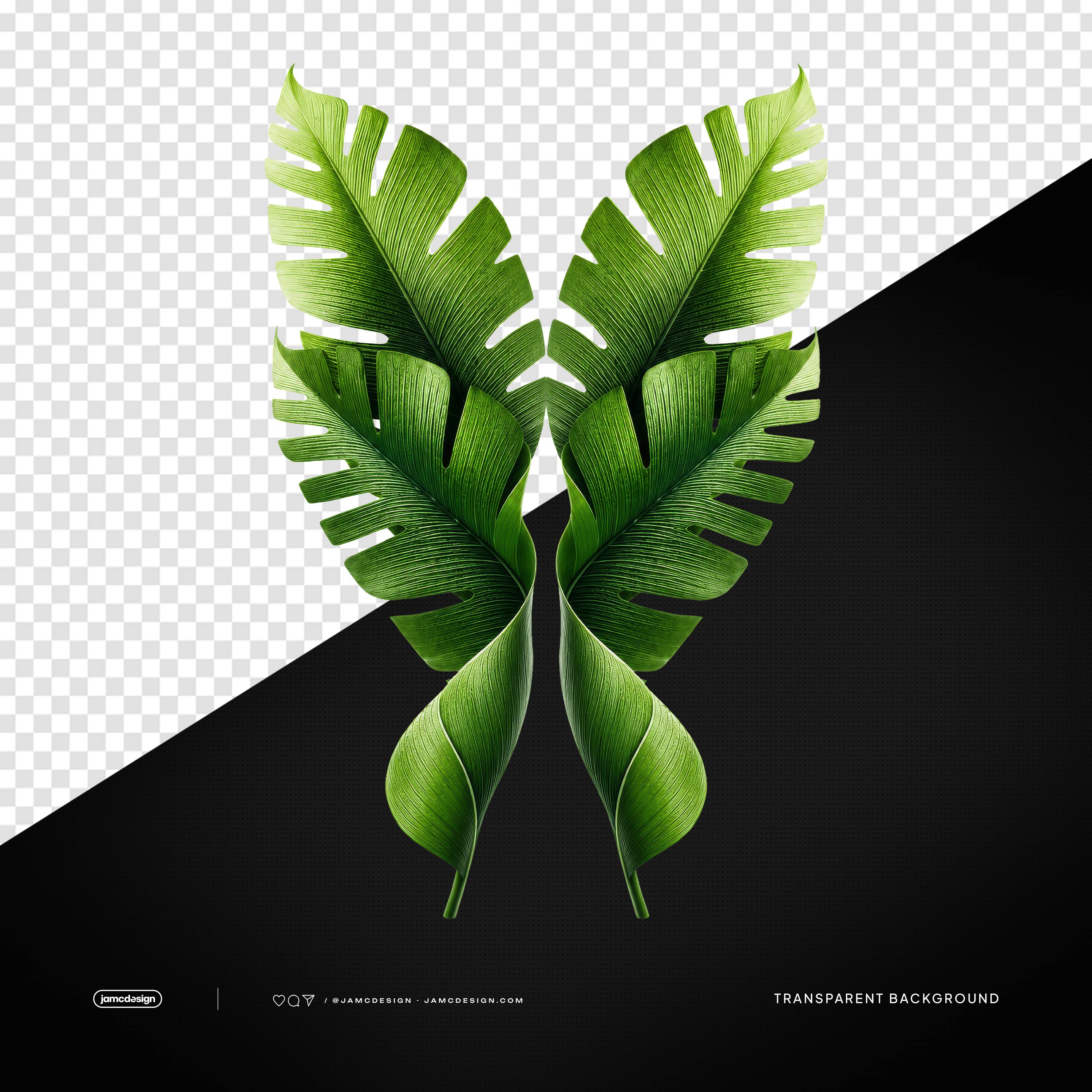 Tropical Palm Leaves PNG Transparent Background
