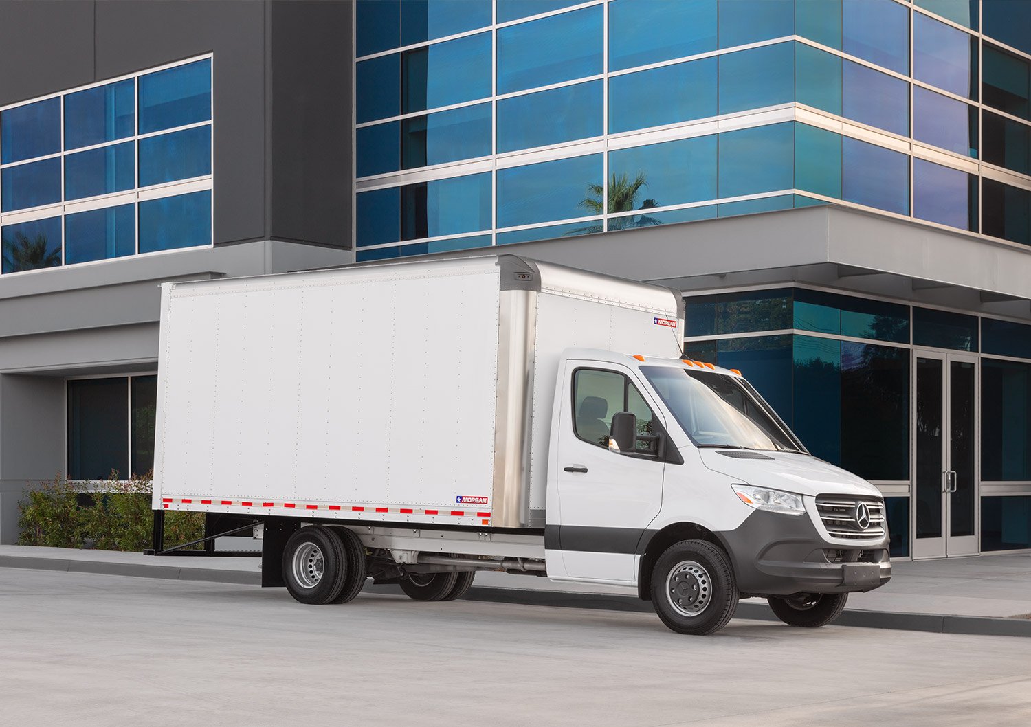 Dry Freight Gold Star