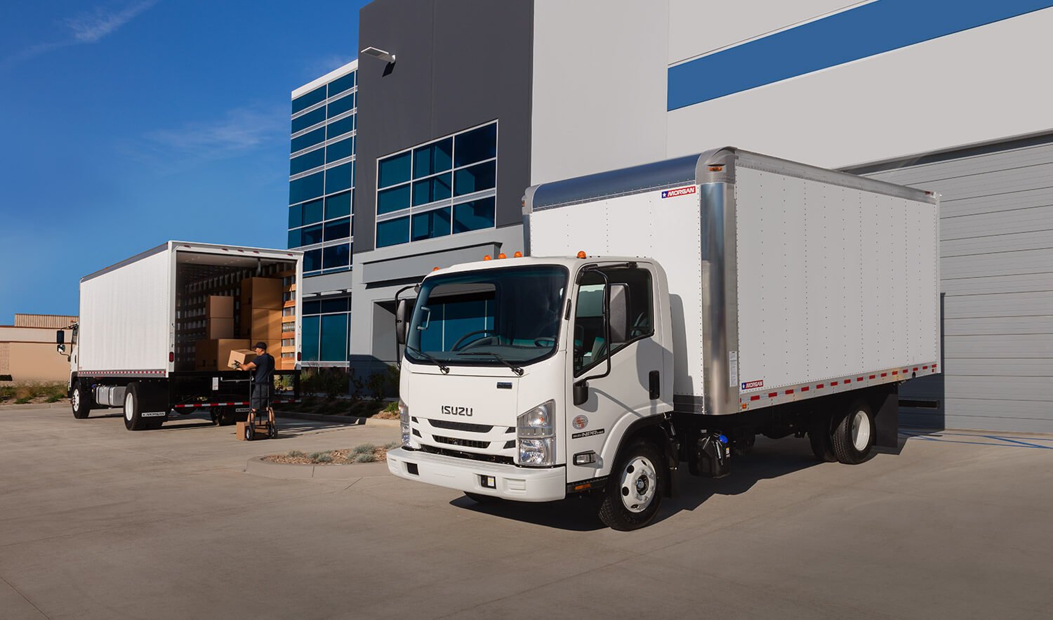 Dry Freight Gold Star