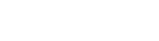 TrueBrydge Logo