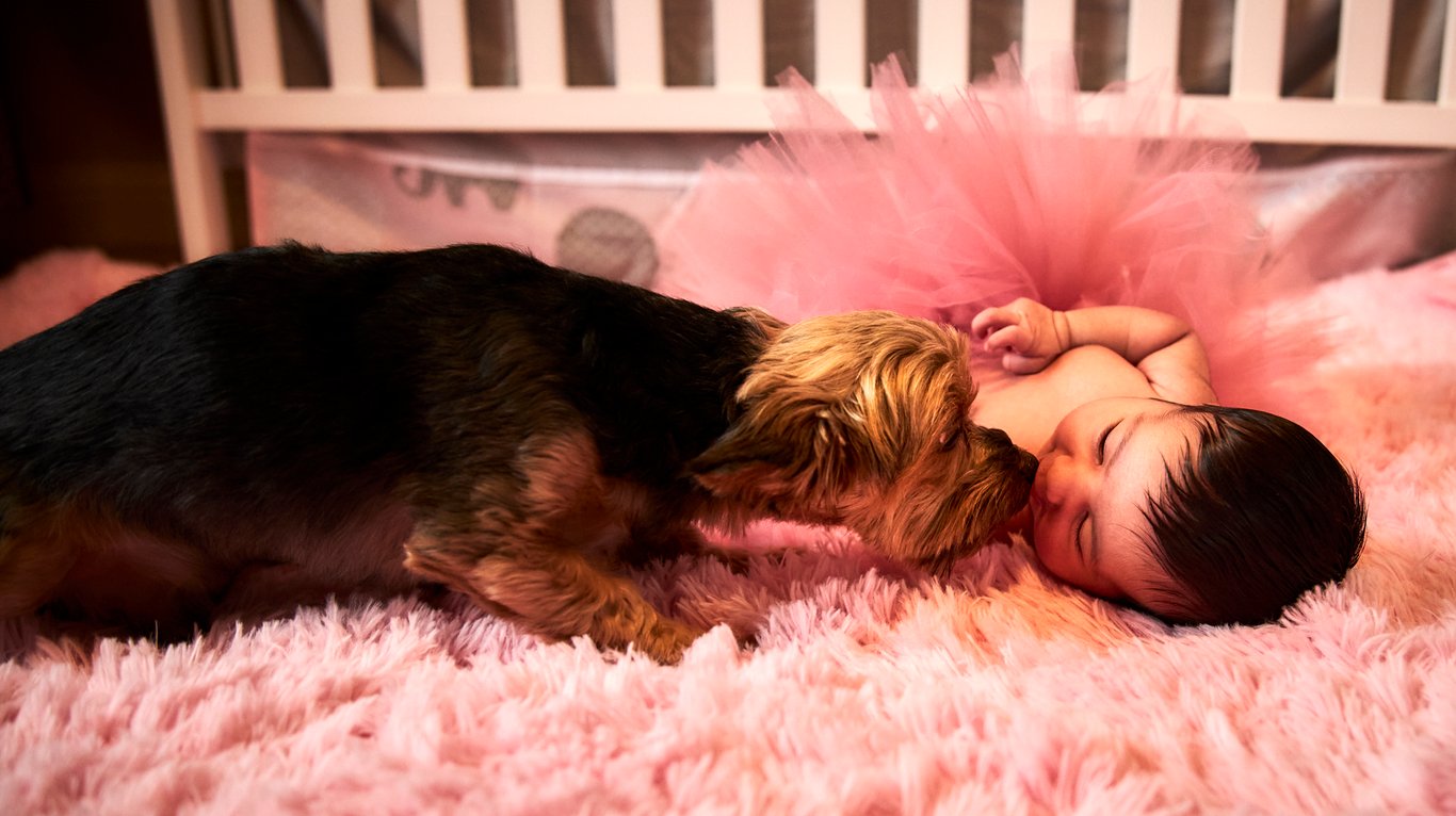 Baby and parent sharing a warm bonding moment together